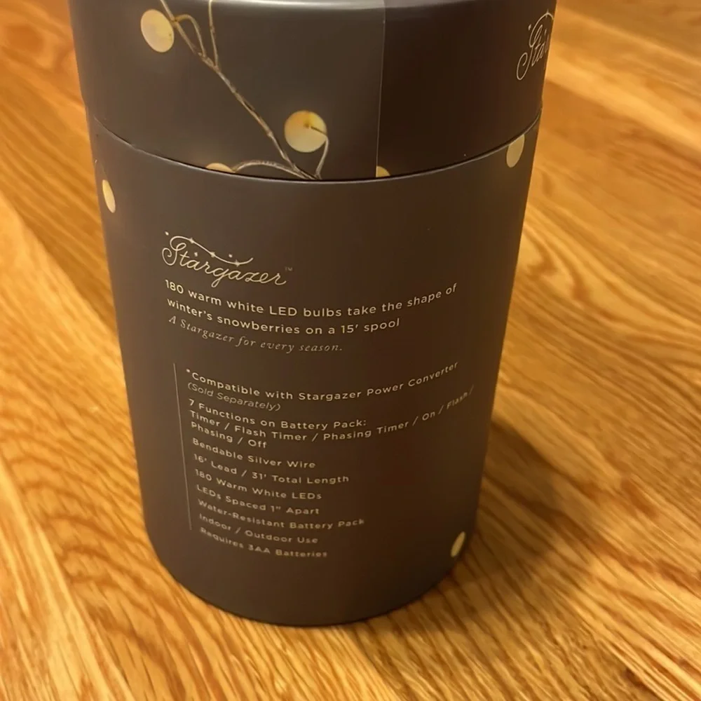NWT Anthropologie Terrain Stargazer Snowberry Garland 15’